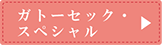 ガトーセック・スペシャル