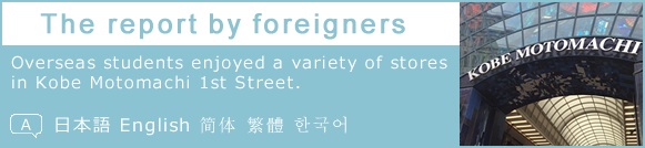 Foreigner Report