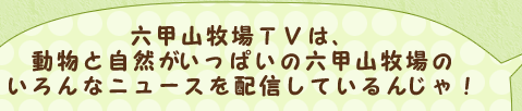六甲山牧場ＴＶは、動物と自然がいっぱいの六甲山牧場のいろんなニュースを配信しているんじゃ！