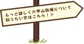 ブログを見る